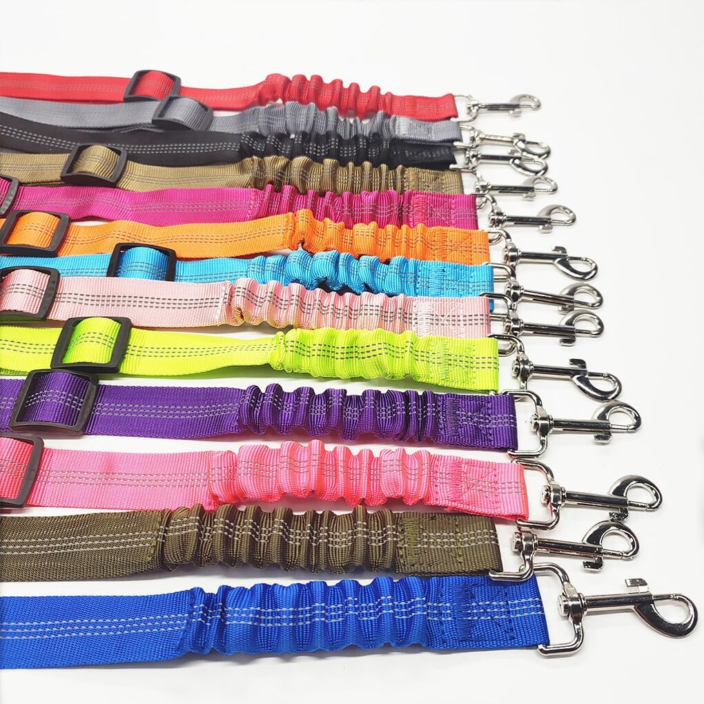 Ceinture de sécurité voiture ajustable pour chien