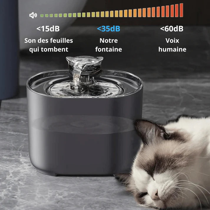 Fontaine à Eau Silencieuse pour Chat