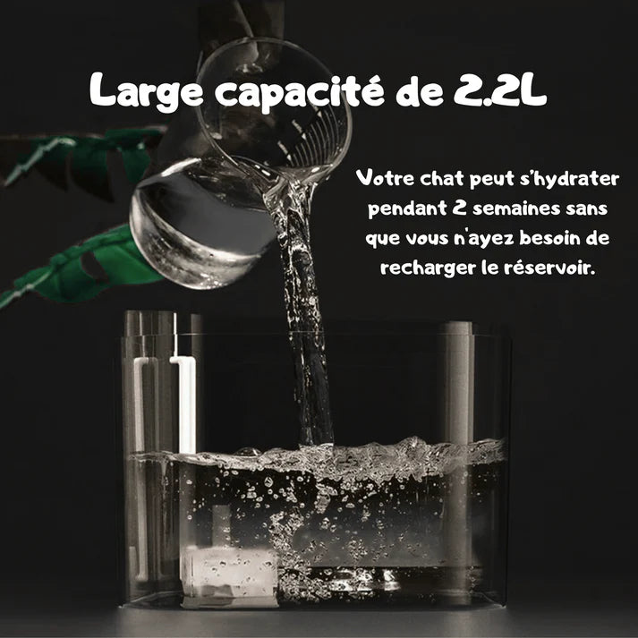 Fontaine à Eau Silencieuse pour Chat