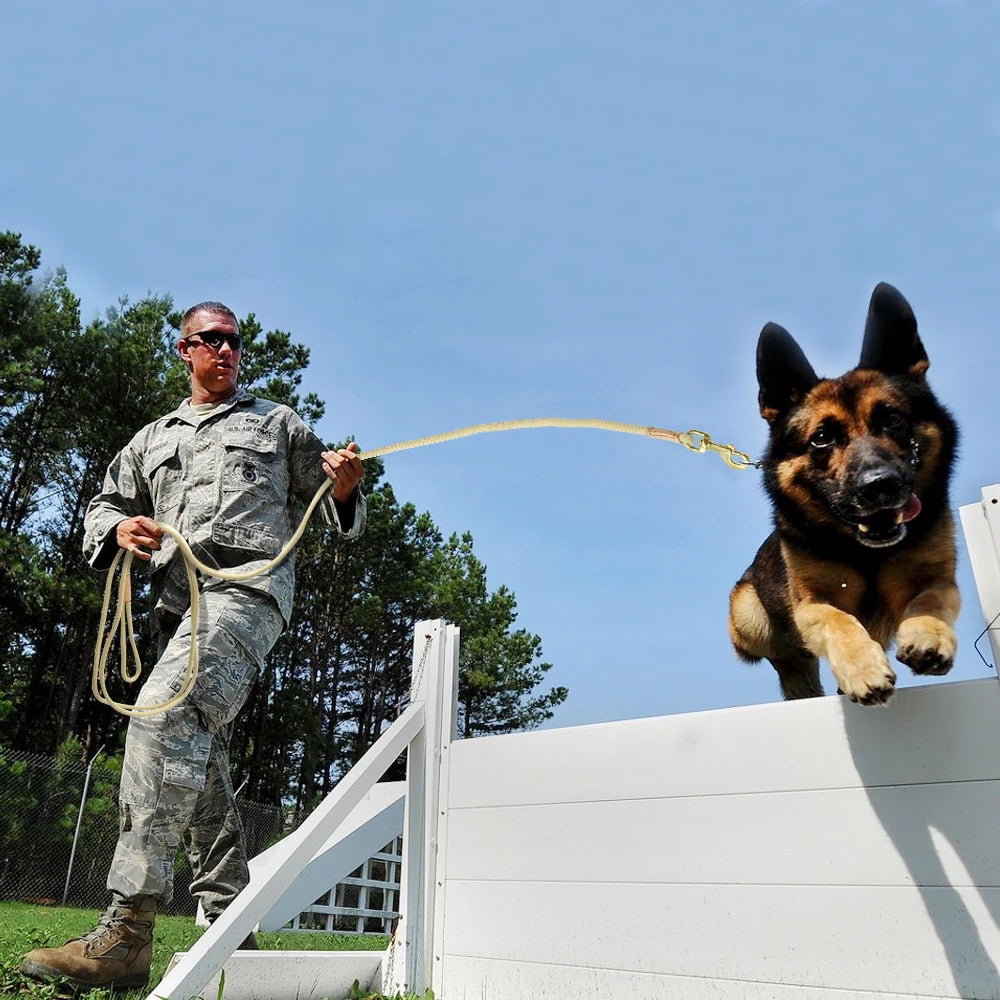 Laisse Longue d’Entraînement pour Chien