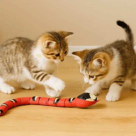 Serpent interactif pour chat