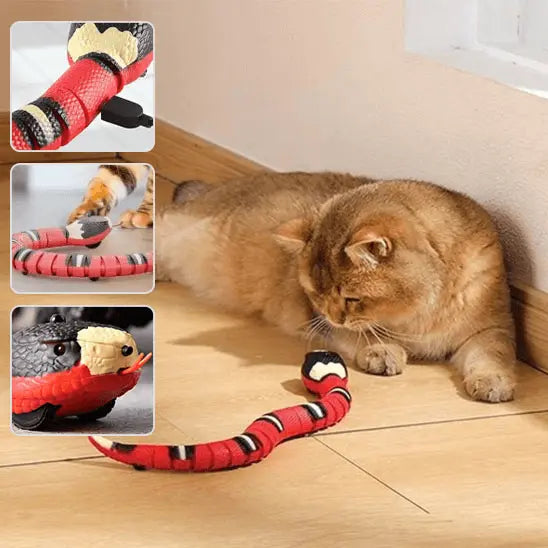 Serpent interactif pour chat