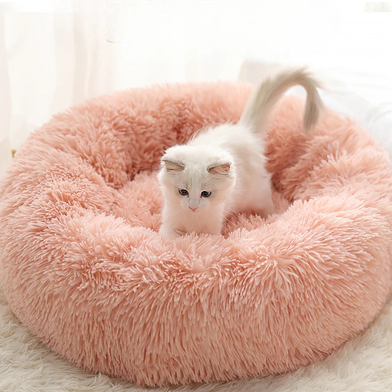 Coussin Douillet pour Chat ou Petit Chien