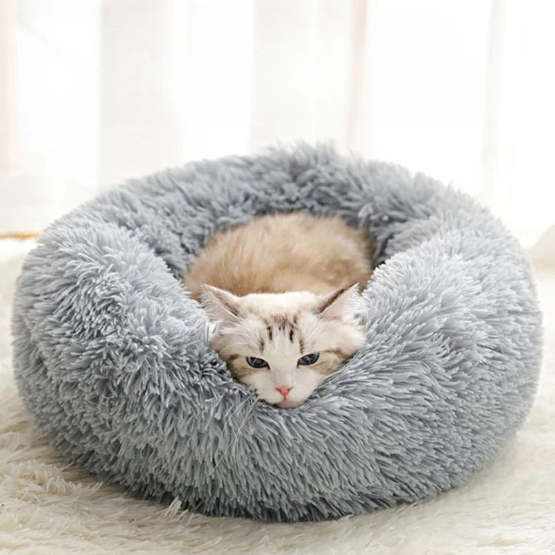 Coussin Douillet pour Chat ou Petit Chien