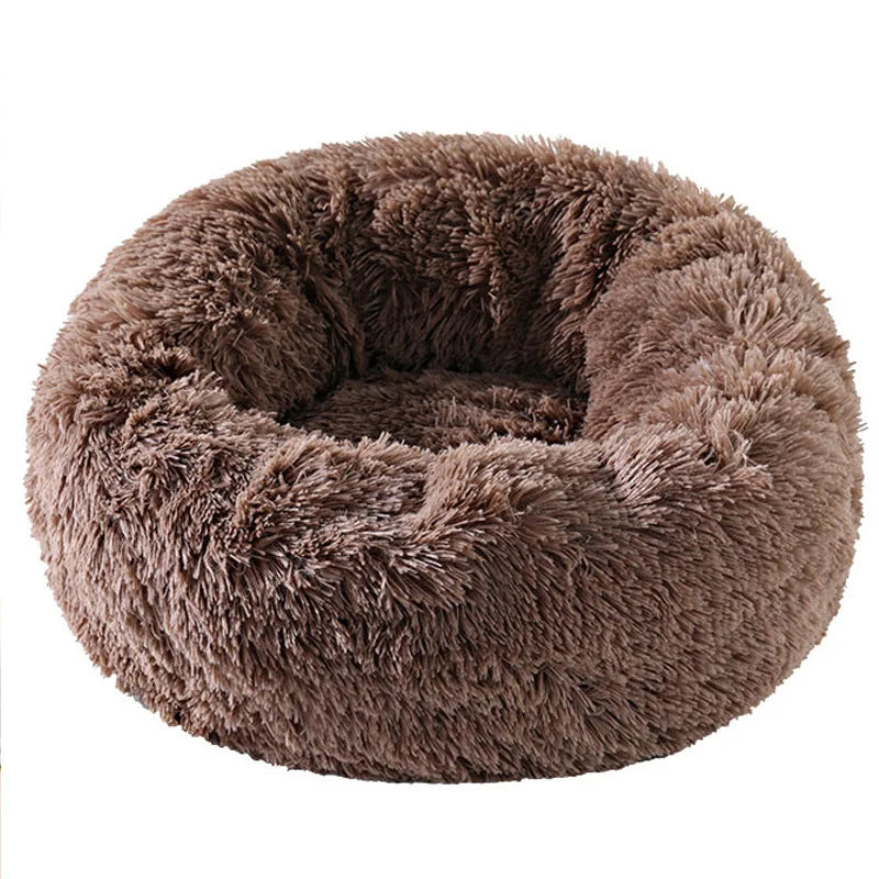 Coussin Douillet pour Chat ou Petit Chien