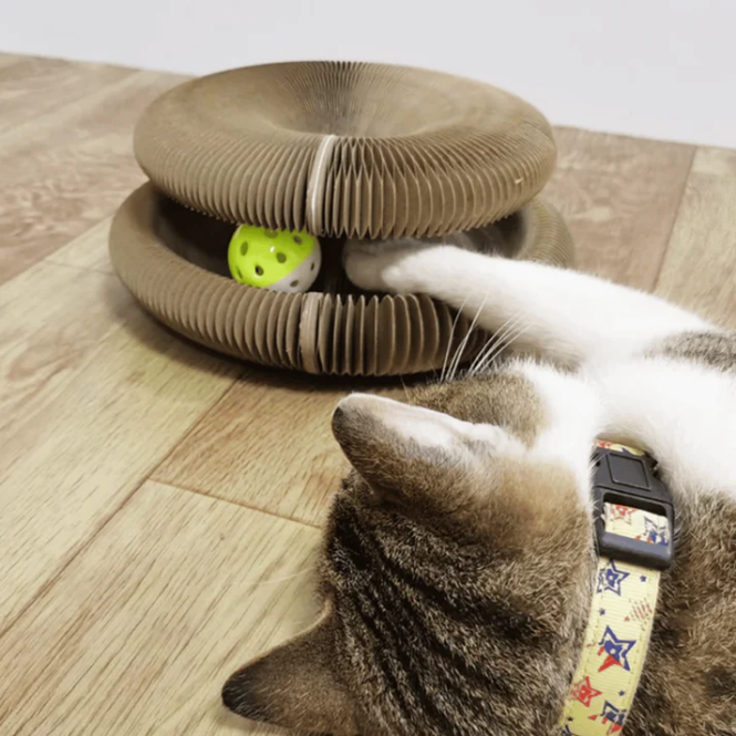 Griffoir Orgue pour Chat avec Balle