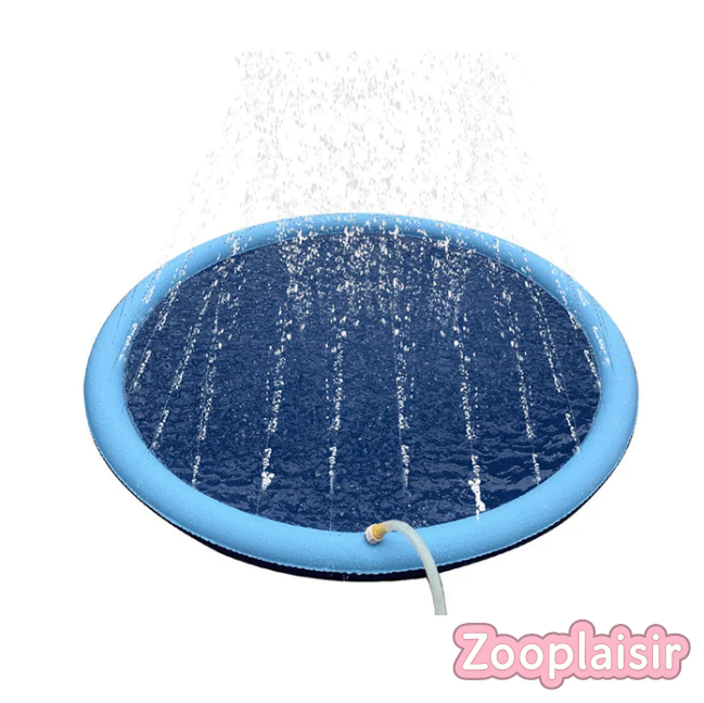 Piscine Fontaine pour Chien