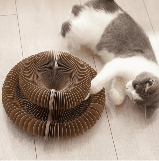 Griffoir Orgue pour Chat avec Balle
