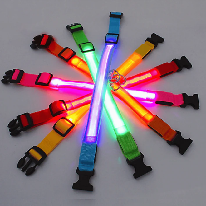 Collier LED Réglable pour Chien