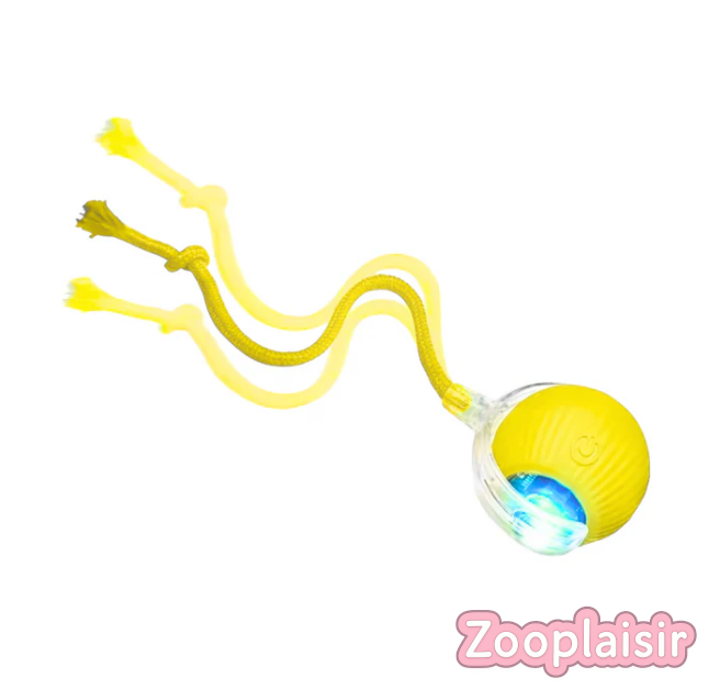 Balle Interactive avec Ficelle pour Chat