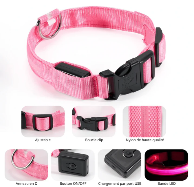 Collier LED Réglable pour Chien