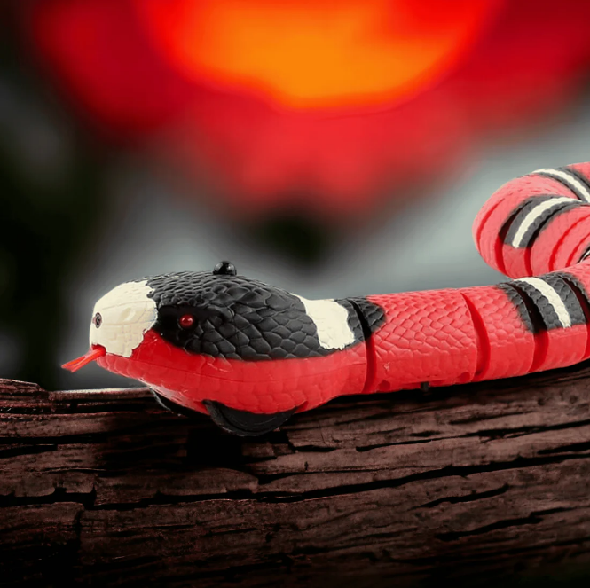 Serpent interactif pour chat