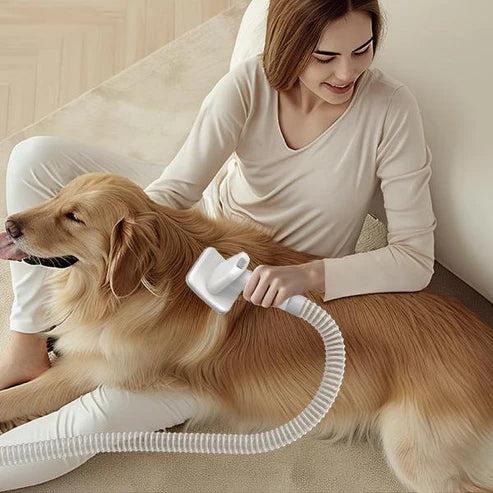 Aspirateur de toilettage pour animaux