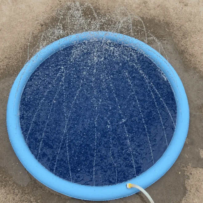 Piscine Fontaine pour Chien