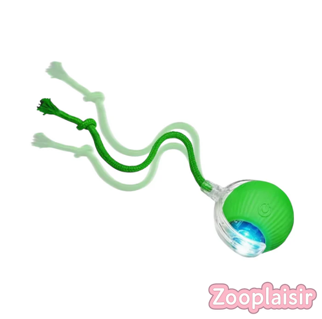 Balle Interactive avec Ficelle pour Chat