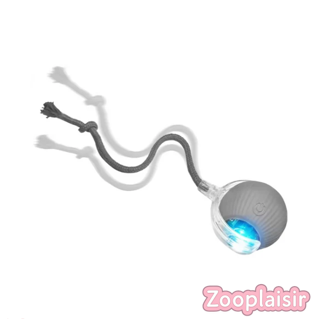Balle Interactive avec Ficelle pour Chat