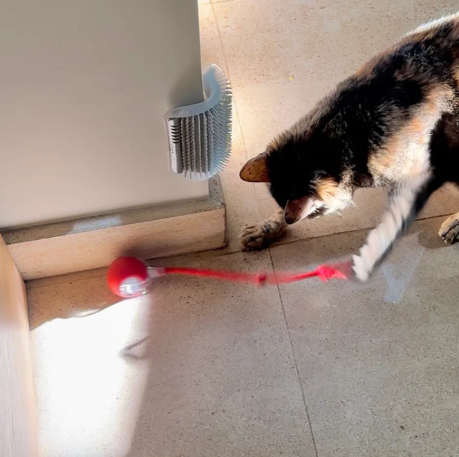 Balle Interactive avec Ficelle pour Chat