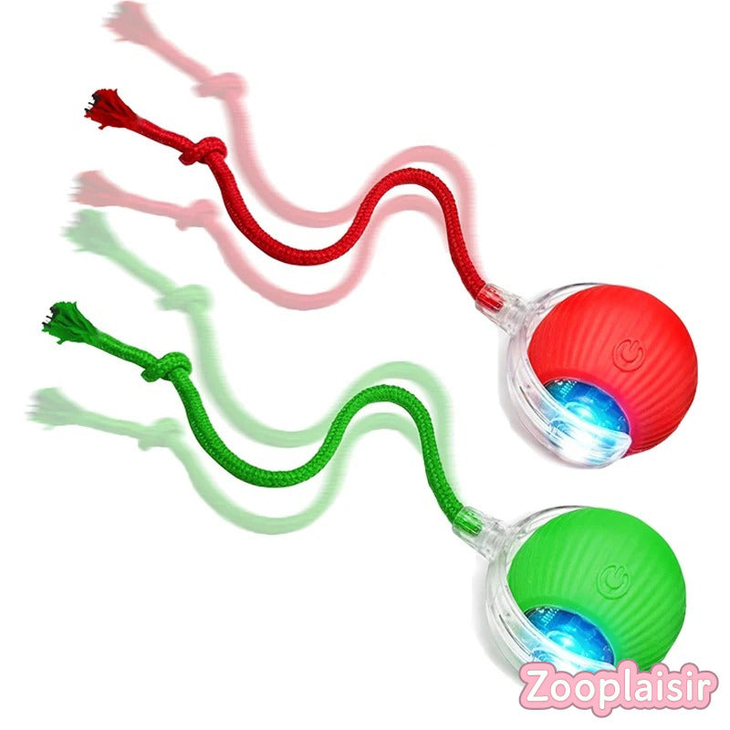 Balle Interactive avec Ficelle pour Chat
