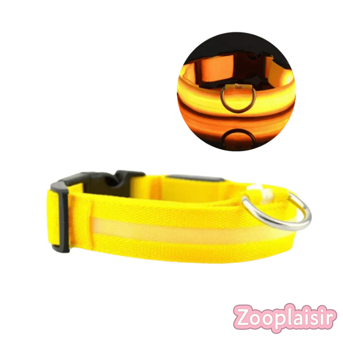 Collier LED Réglable pour Chien