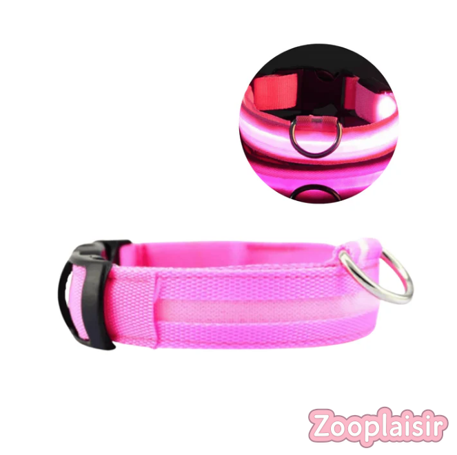 Collier LED Réglable pour Chien