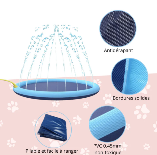 Piscine Fontaine pour Chien