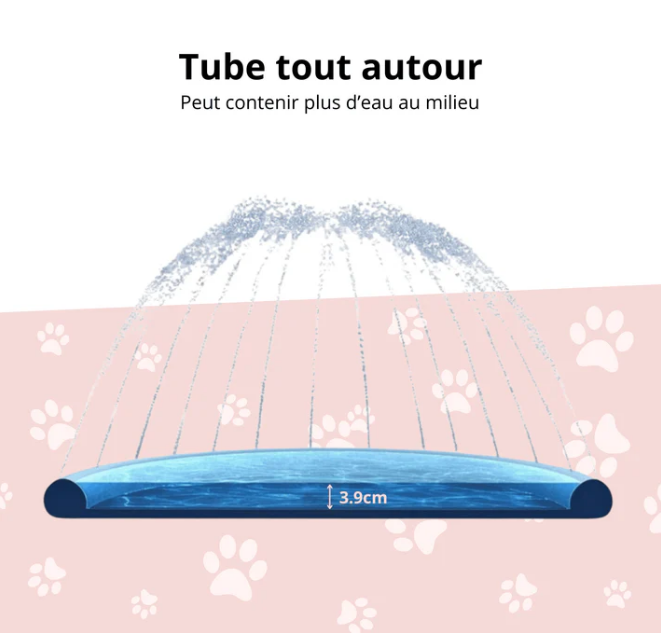 Piscine Fontaine pour Chien