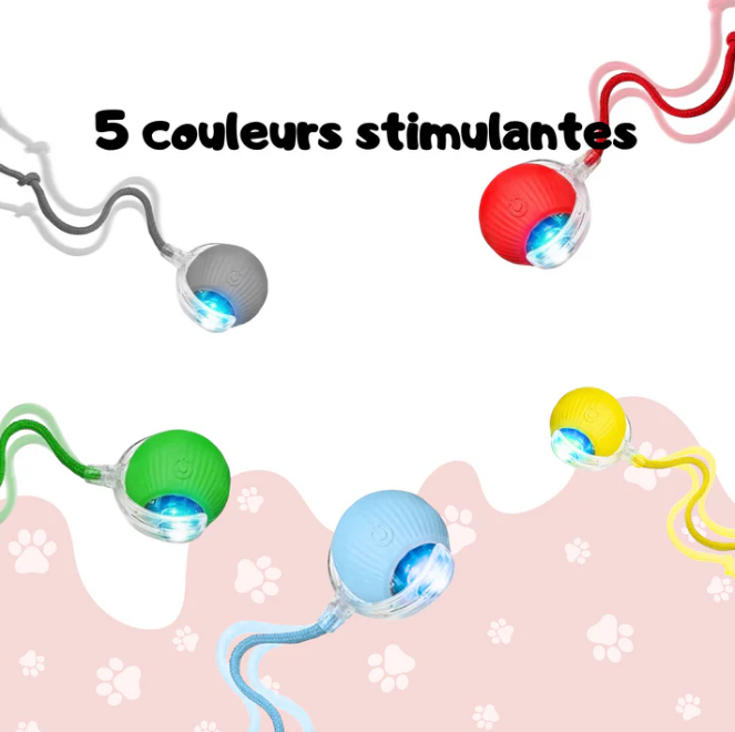 Balle Interactive avec Ficelle pour Chat