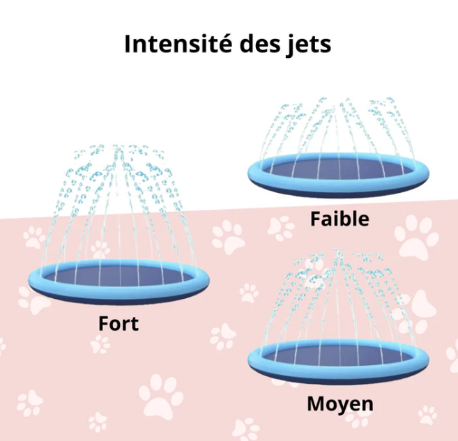 Piscine Fontaine pour Chien