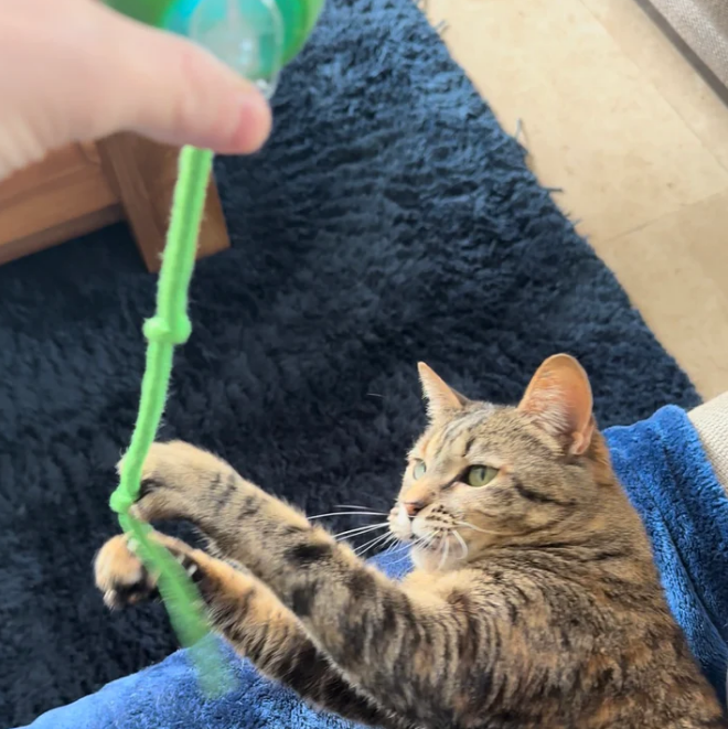 Balle Interactive avec Ficelle pour Chat