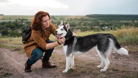 Comment occuper son chien et éviter l’ennui : astuces et activités 🐾