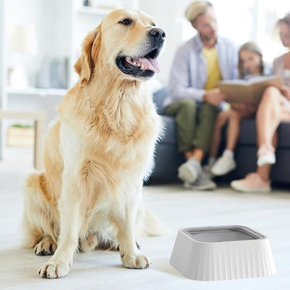 Gamelle anti-éclaboussures pour chien