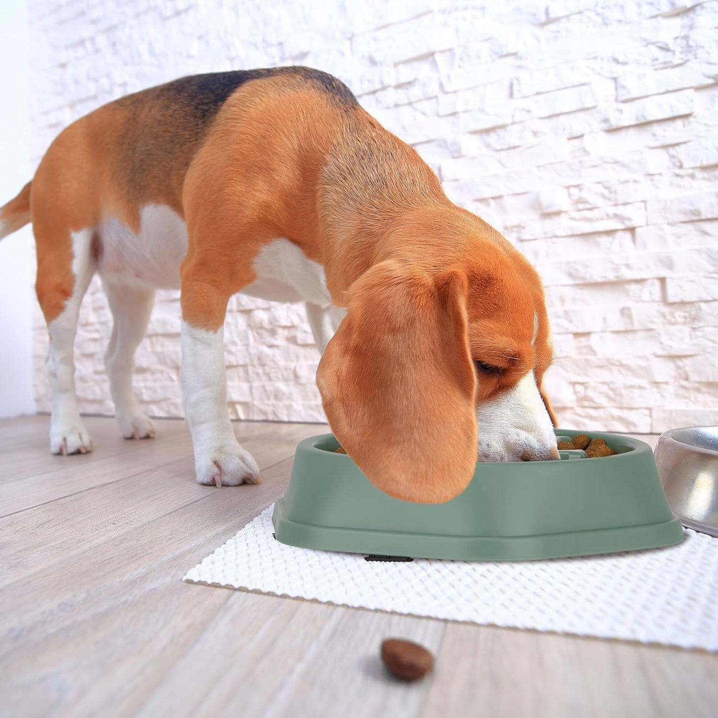 Anti-gluttonous dog bowl