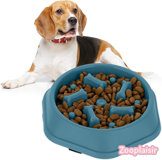 Gamelle anti-glouton pour chien