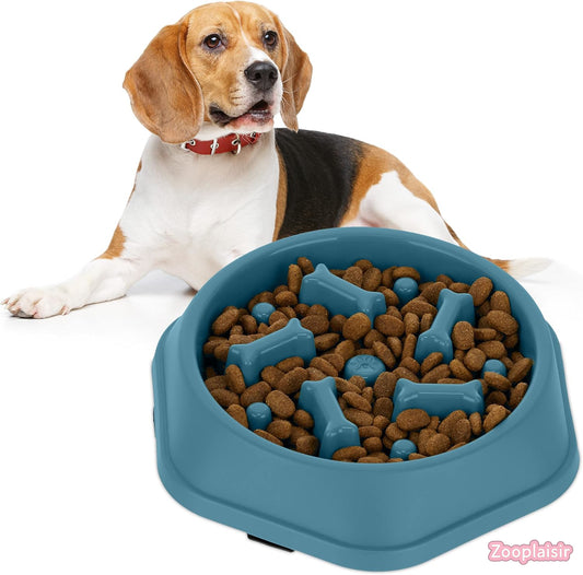 Gamelle anti-glouton pour chien