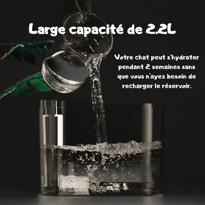 Fontaine à Eau Silencieuse pour Chat