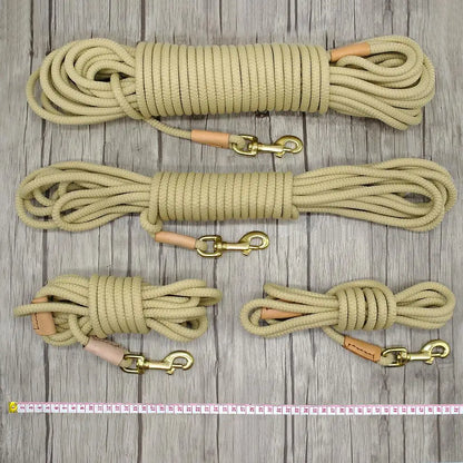 Laisse Longue d’Entraînement pour Chien