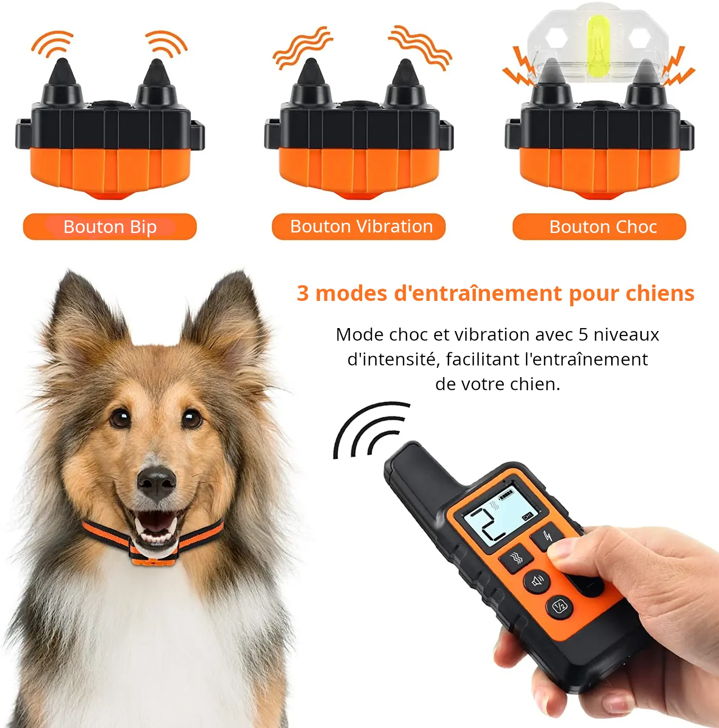 Collier de Dressage Intelligent pour Chien – Anti-Fugue, Étanche, avec Modes Son/Vibration/Choc