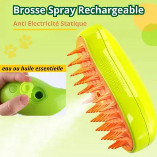 Brosse révolutionnaire à vapeur 3-en-1