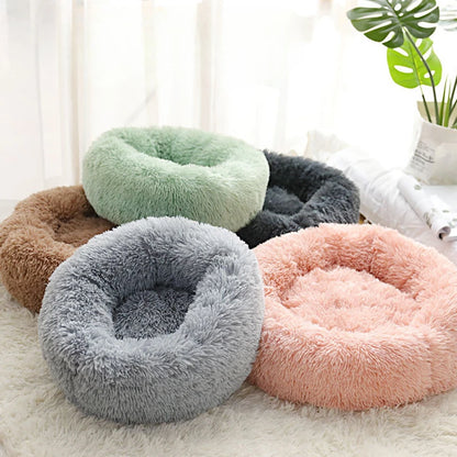 Coussin Douillet pour Chat ou Petit Chien