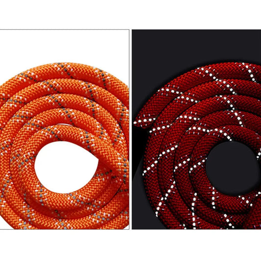 Longe Réfléchissante en Nylon pour Chien – 2 à 20 m