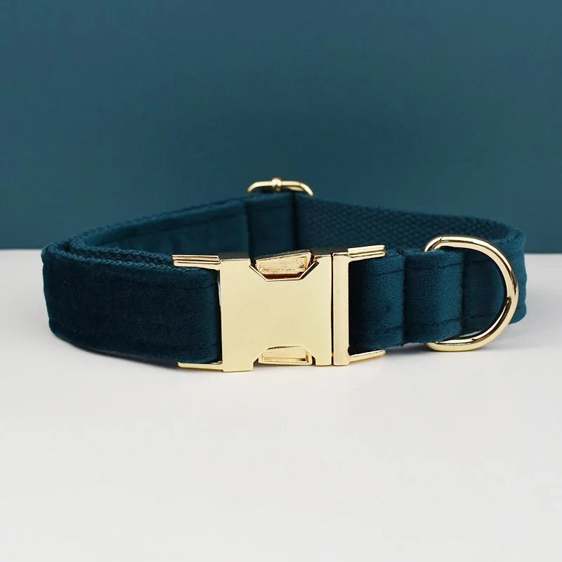 Collier Personnalisé pour Chien