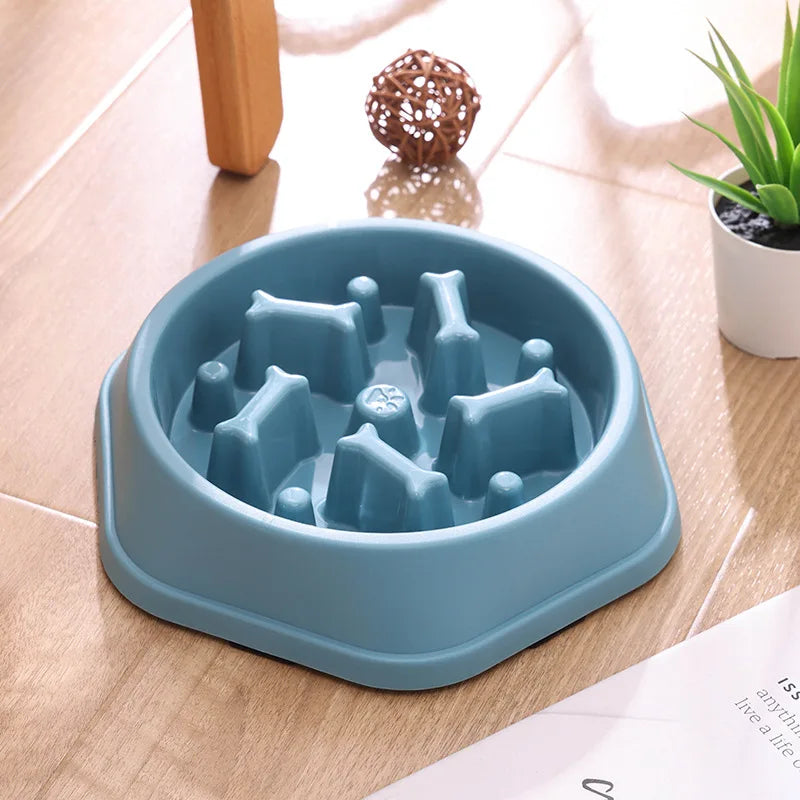 Gamelle Anti-Glouton pour Chien