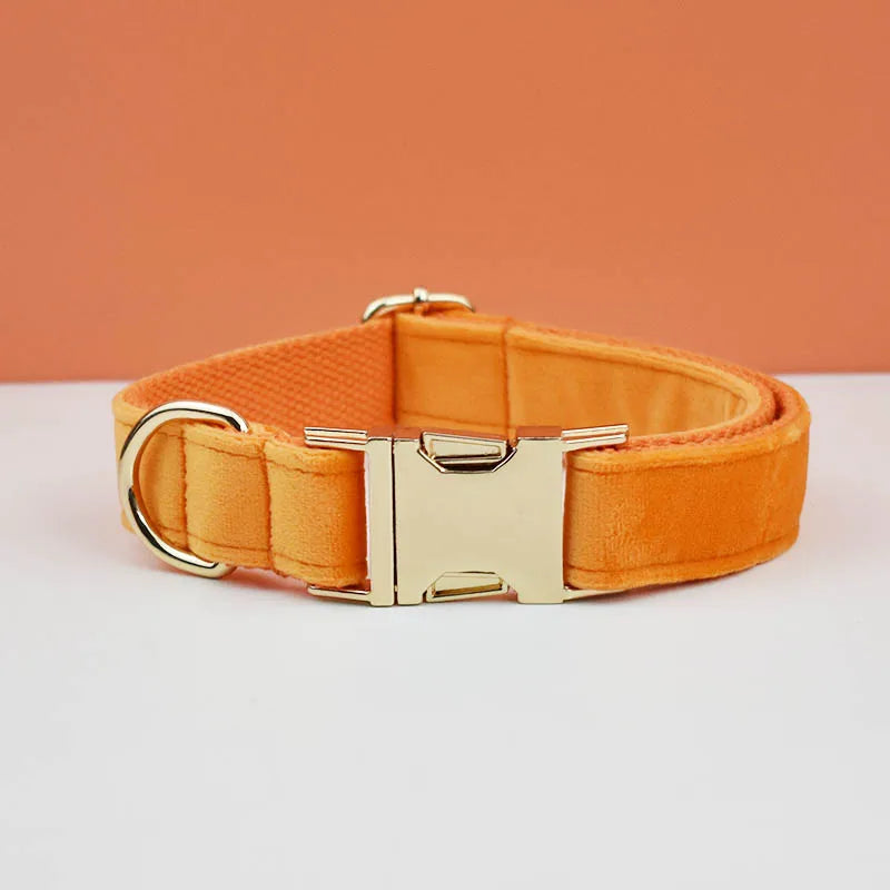 Collier Personnalisé pour Chien