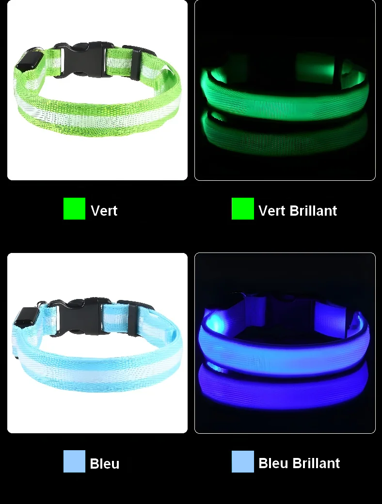 Collier Lumineux pour Chien