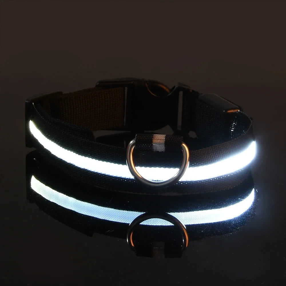 Collier Lumineux pour Chien