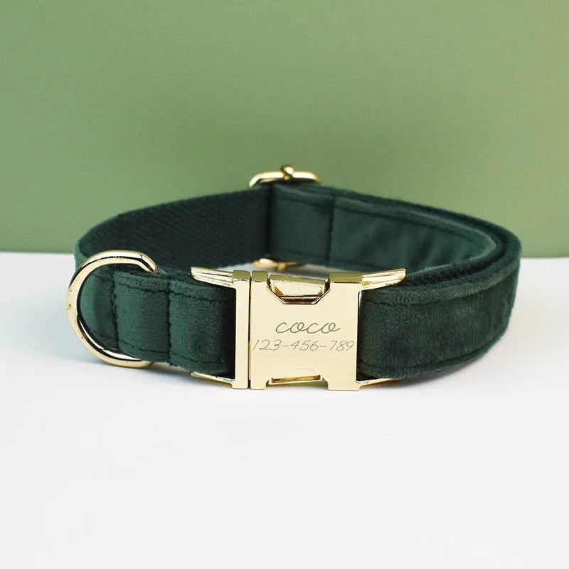 Collier Personnalisé pour Chien