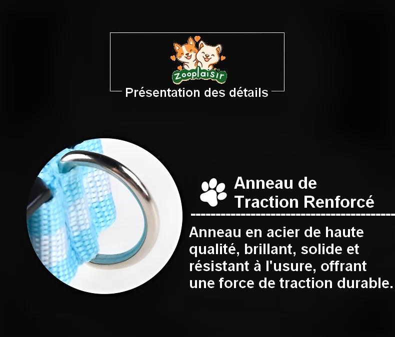 Collier Lumineux pour Chien