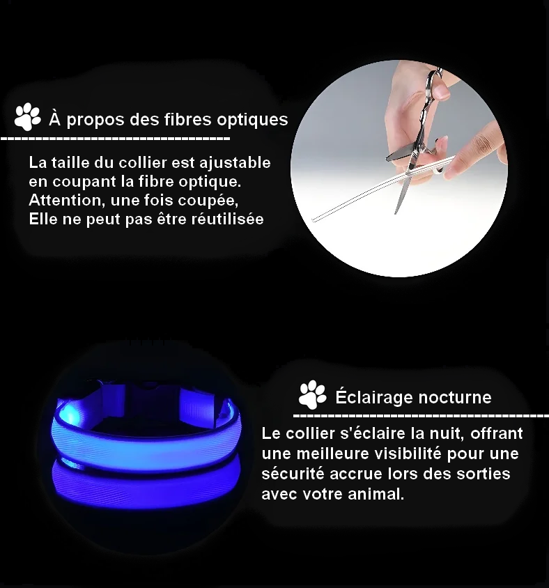 Collier Lumineux pour Chien