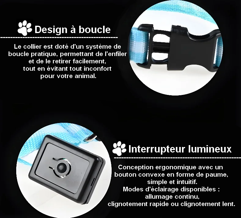 Collier Lumineux pour Chien