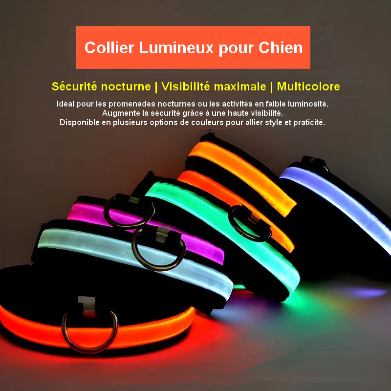 Collier Lumineux pour Chien